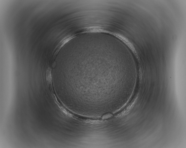 X0000113301289200909211113