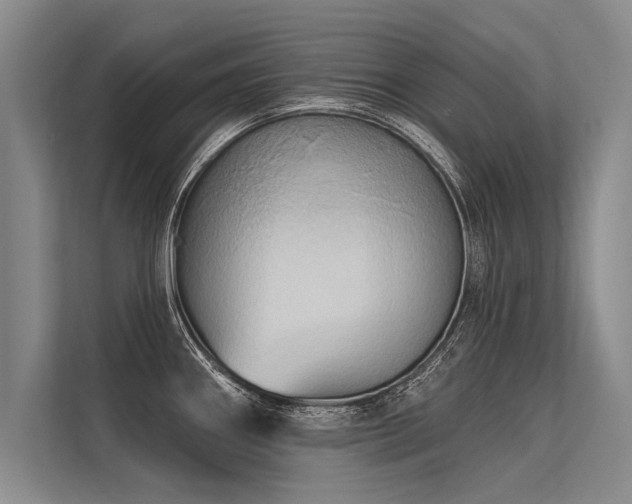 X0000113301290200909211113