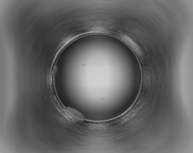 X0000113301292200909211113