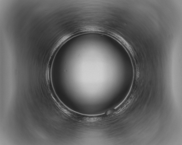 X0000113301293200909211113