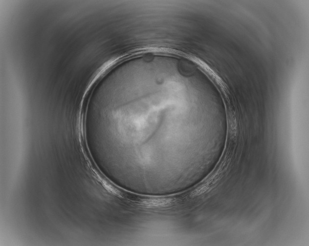 X0000113301294200909211113