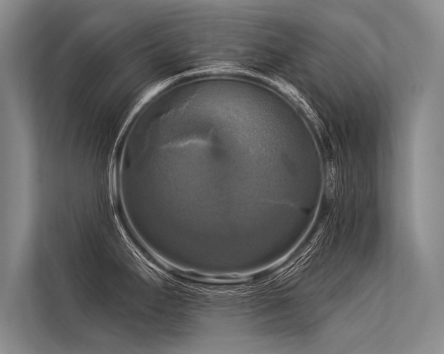 X0000113301295200909211113