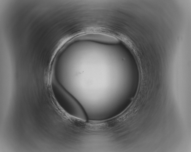 X0000113301296200909211113