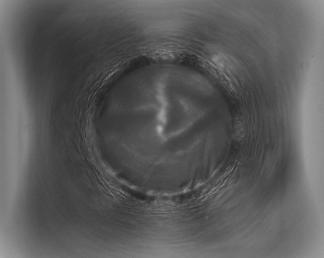 X0000113301297200909211112