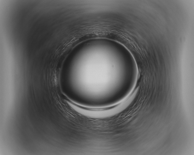 X0000113301298200909211113