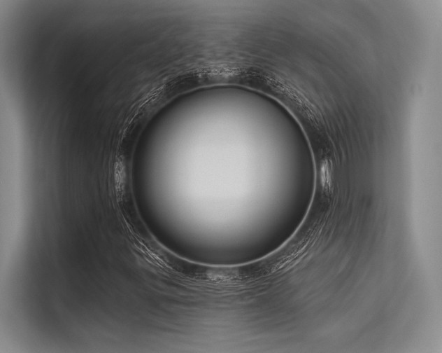 X0000113301299200909211113