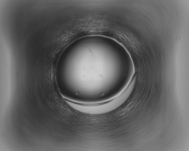 X0000113301300200909211113