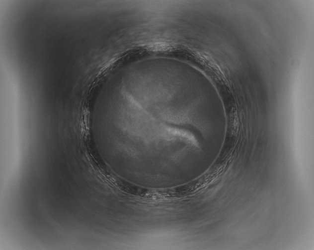 X0000113301301200909211113