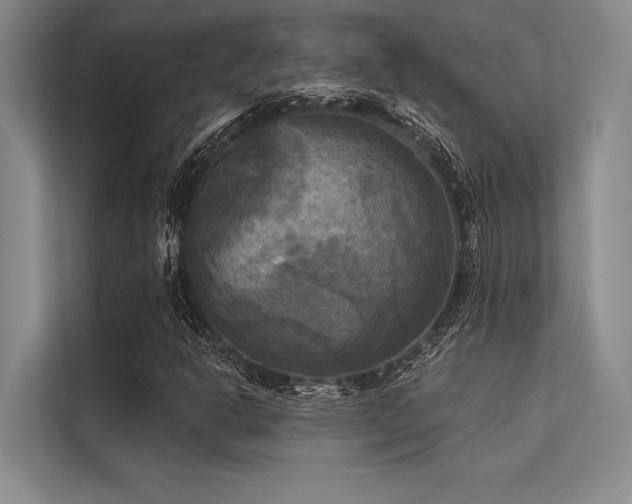 X0000113301302200909211113