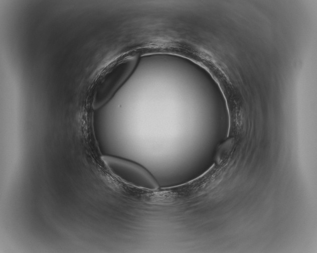 X0000113301304200909211113