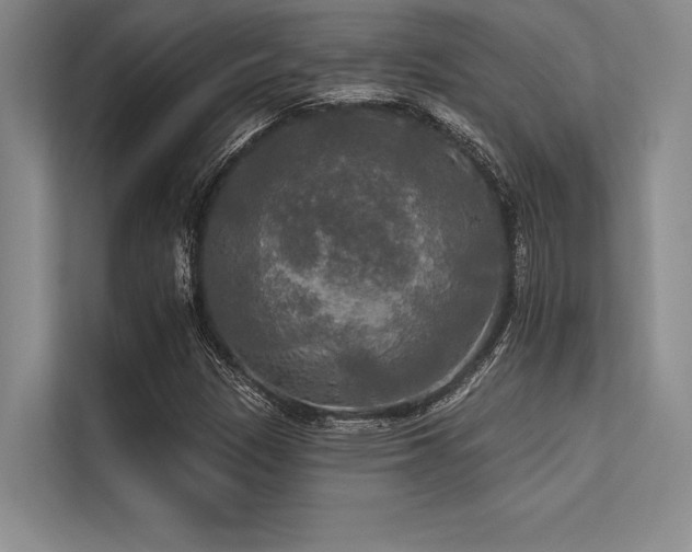 X0000113301305200909211113