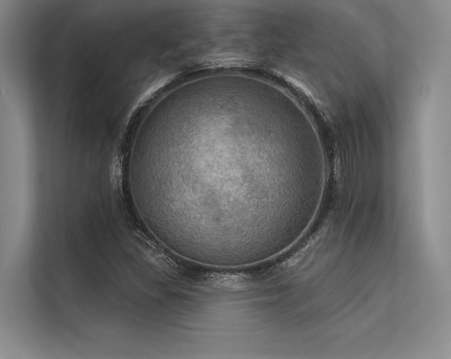 X0000113301309200909211113