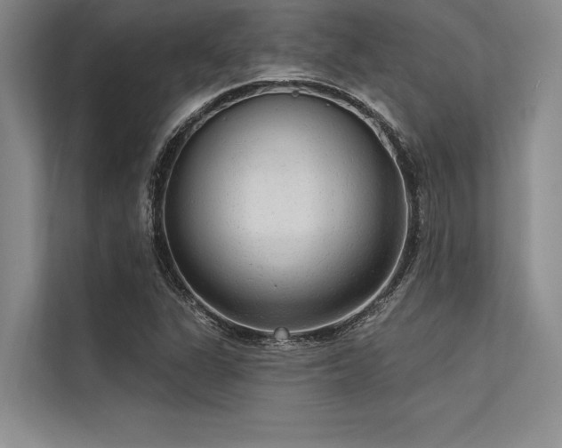 X0000113301311200909211113