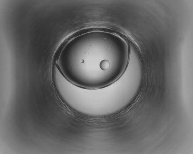 X0000113301312200909211113