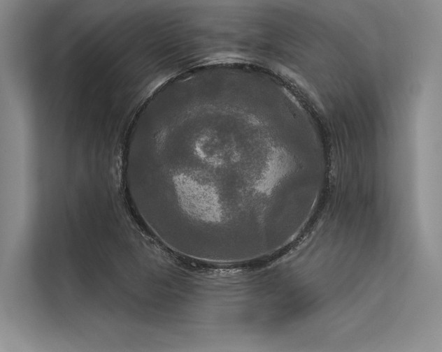 X0000113301313200909211113