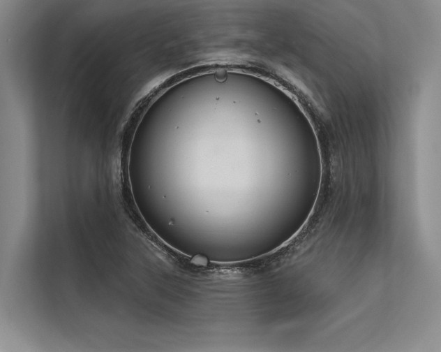 X0000113301315200909211113