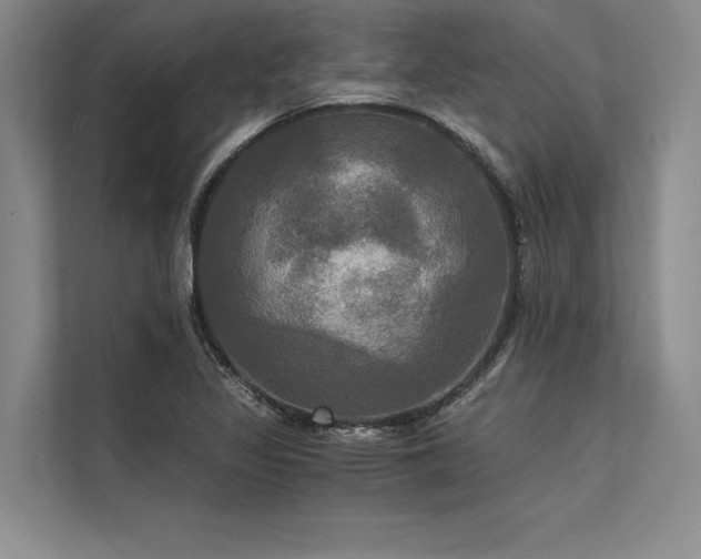 X0000113301317200909211113