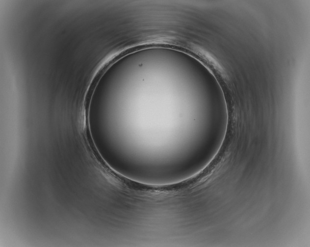 X0000113301324200909211113