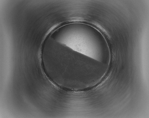 X0000113301325200909211113