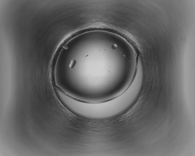 X0000113301326200909211113