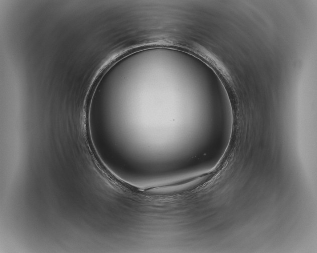 X0000113301332200909211113