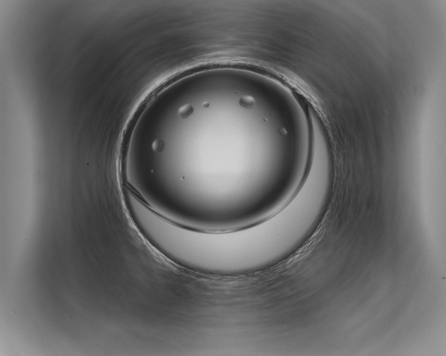 X0000113301334200909211113