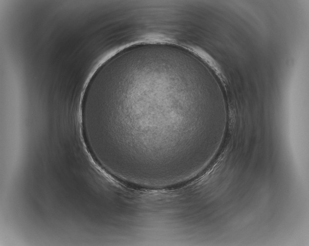 X0000113301335200909211113