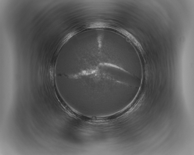 X0000113301337200909211113