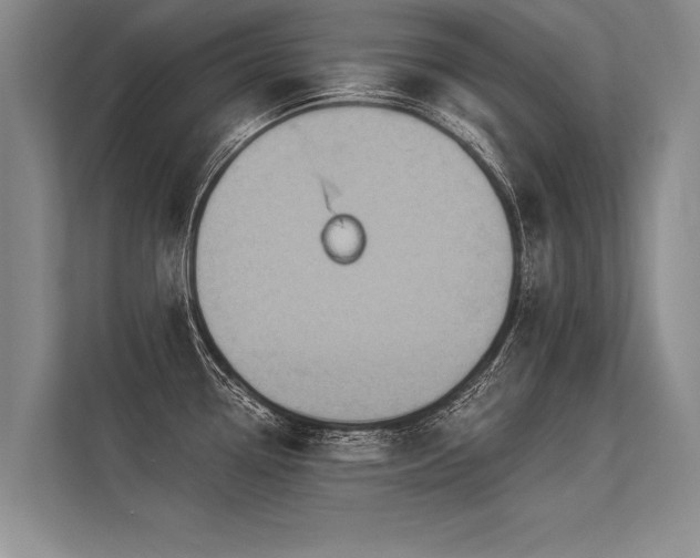 X0000113301338200909211113