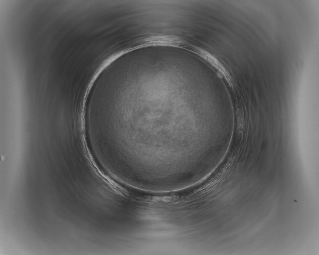 X0000113301339200909211113