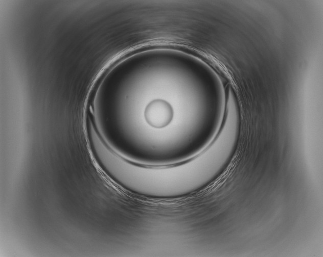 X0000113301342200909211113