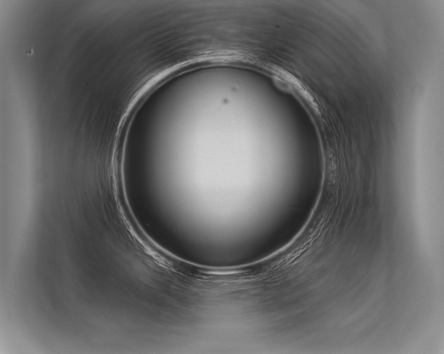 X0000113301343200909211113