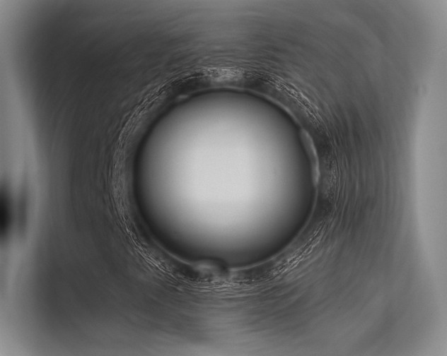 X0000113301345200909211112