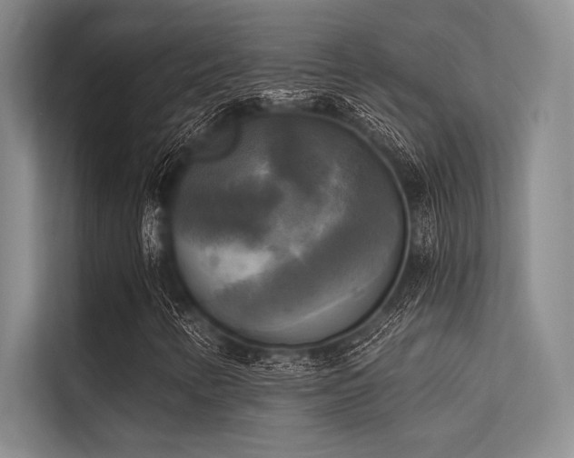 X0000113301346200909211112