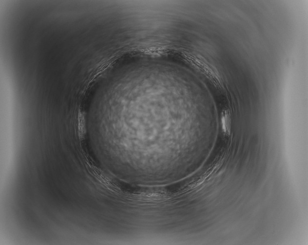 X0000113301347200909211112