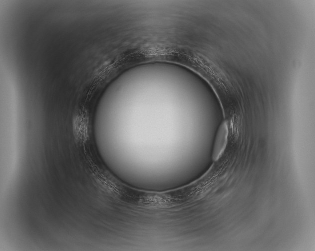 X0000113301348200909211112