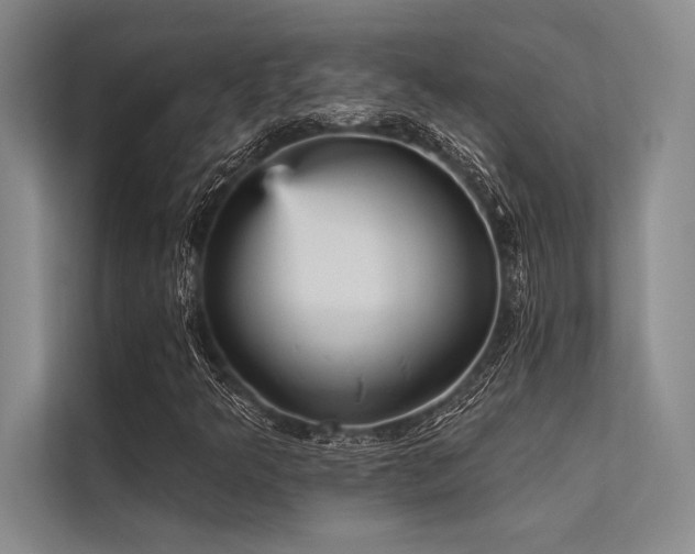 X0000113301349200909211112