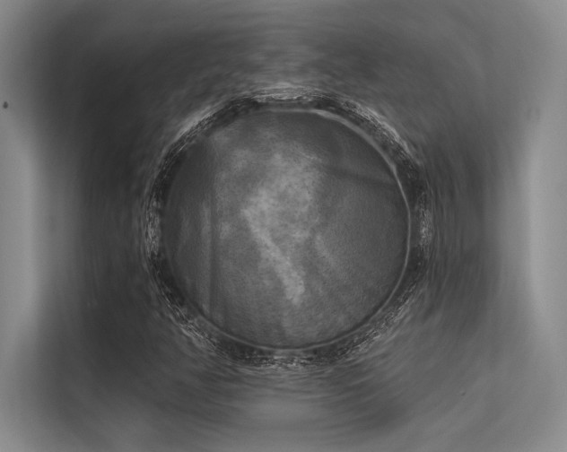 X0000113301350200909211112