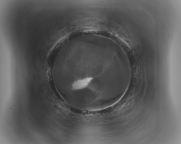 X0000113301351200909211112