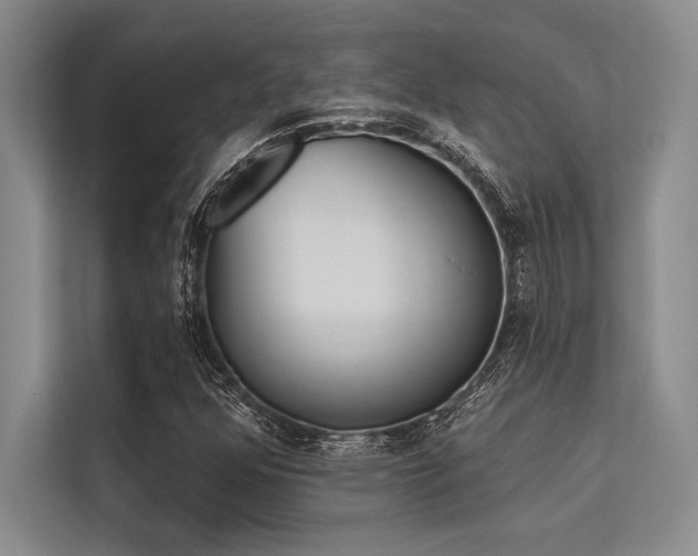 X0000113301352200909211112