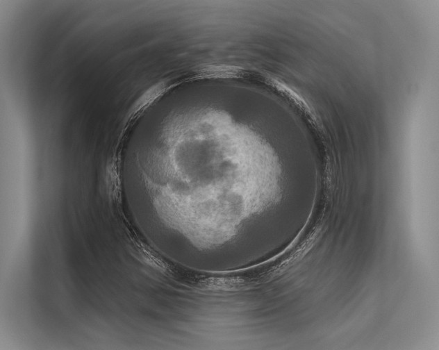 X0000113301354200909211112