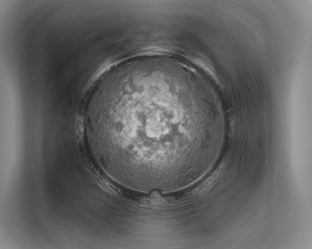 X0000113301355200909211112