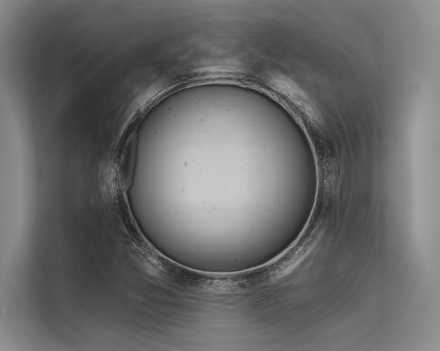 X0000113301357200909211112