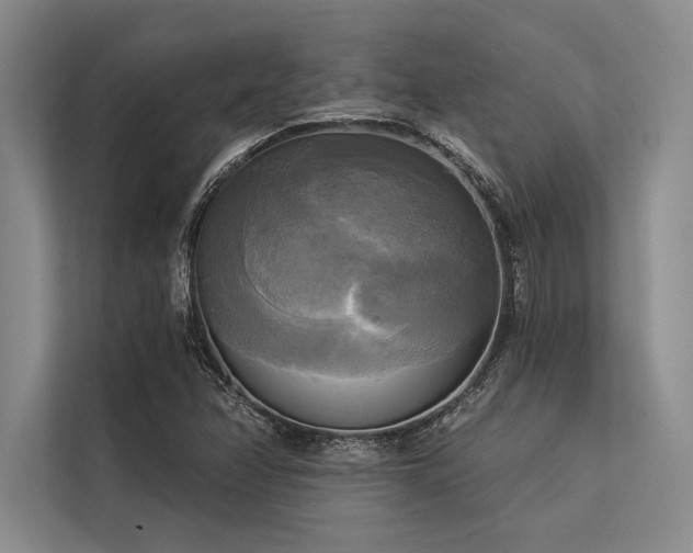 X0000113301358200909211112