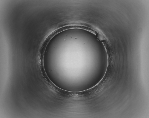 X0000113301360200909211112