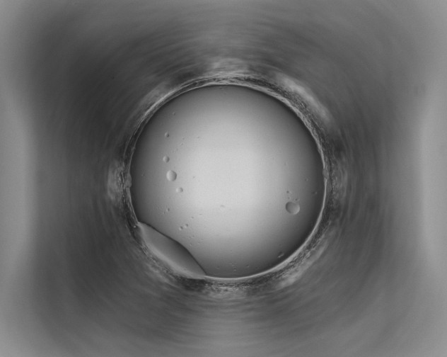 X0000113301361200909211112