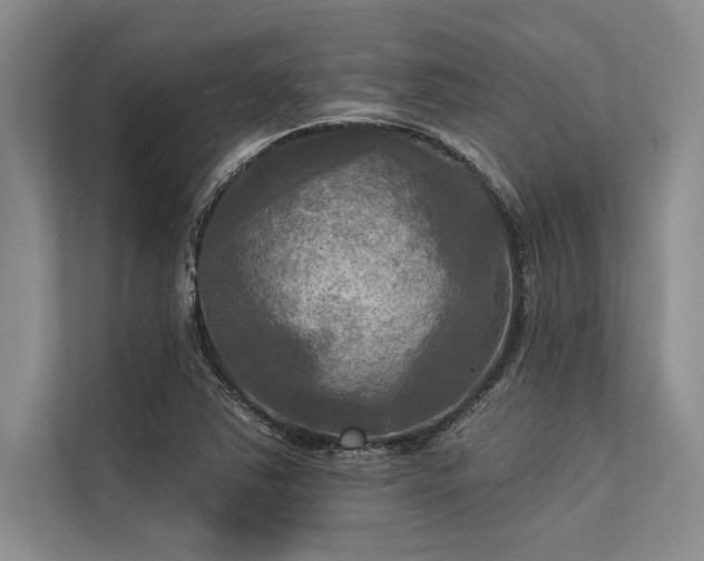 X0000113301363200909211112