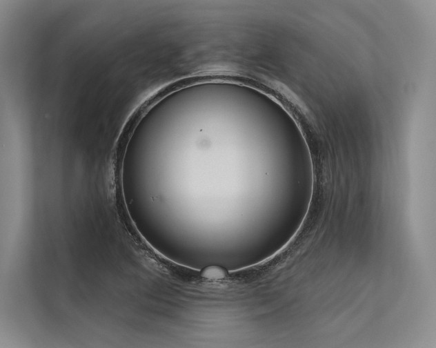 X0000113301364200909211112