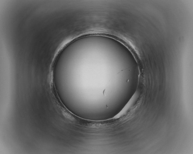 X0000113301366200909211112