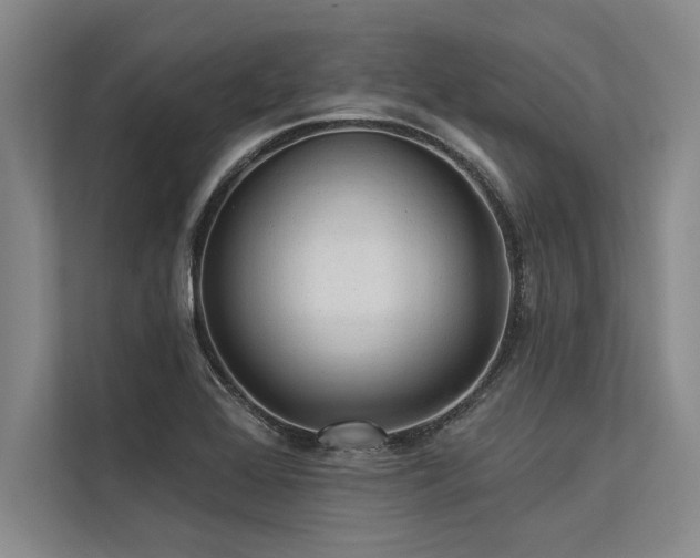 X0000113301368200909211112